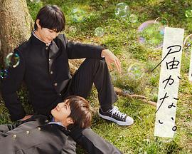 宜昌网站优化效果外包